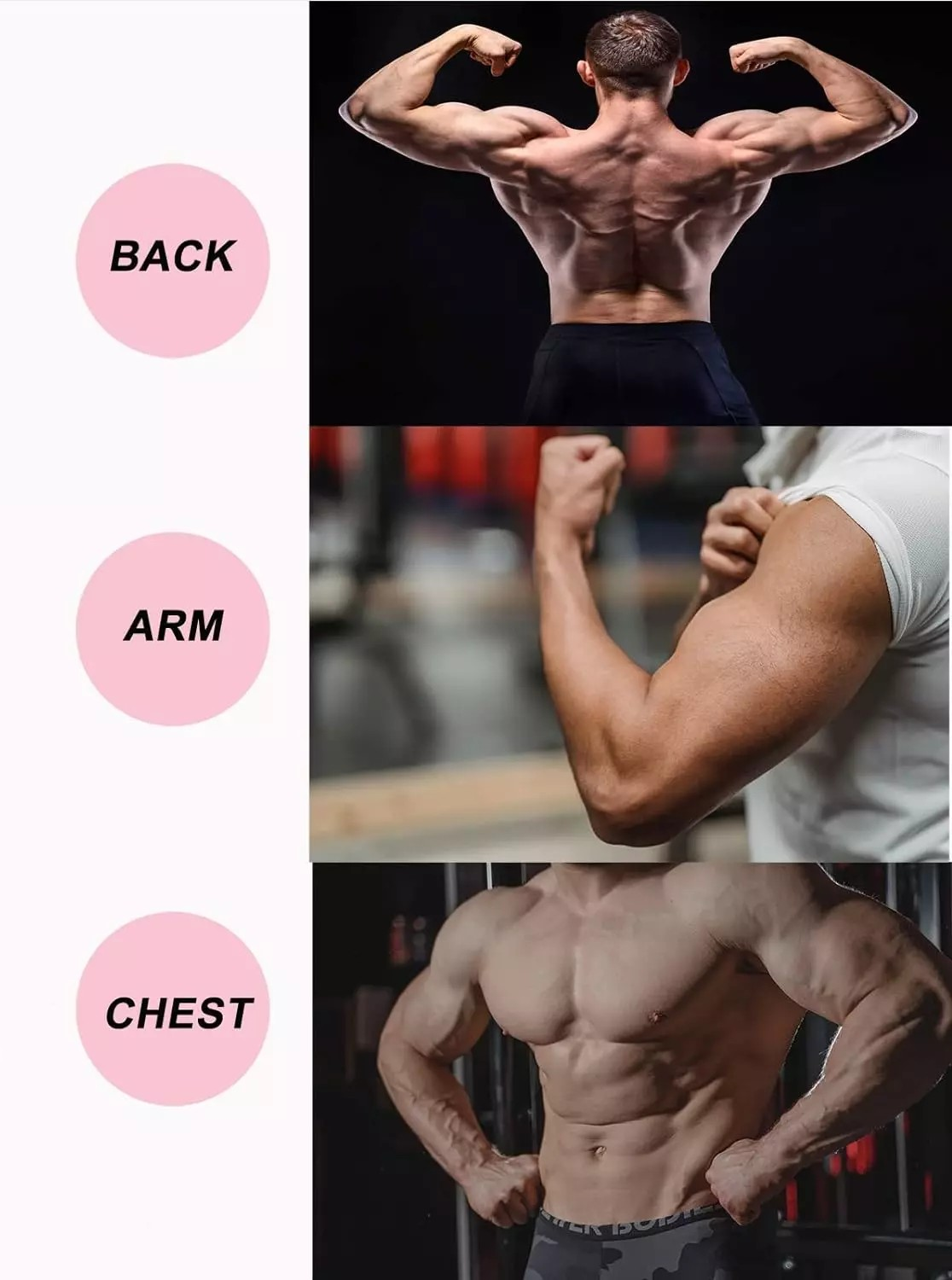 Chest expander muscles worked sale